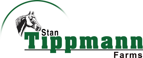 Welcome to Stan Tippmann Farms